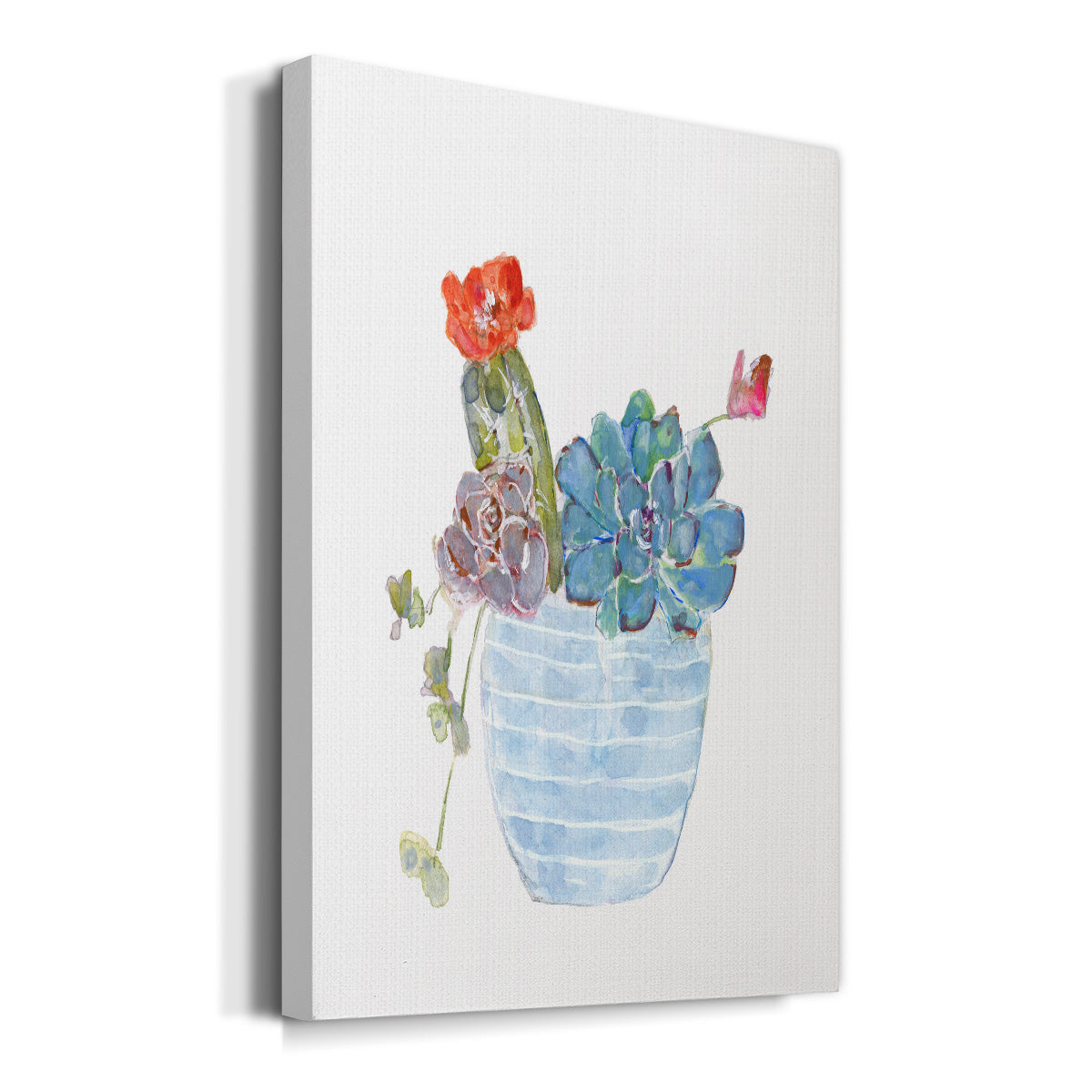 Cactus and Succulent Blooms I Premium Gallery Wrapped Canvas - Ready to Hang