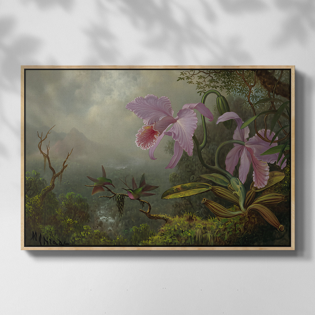 Two Sun Angel Hummingbirds on a Branch, c. 1890-1904 - Floater Framed Canvas Print