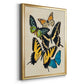 Collaged Butterflies II - Modern Framed Canvas Print