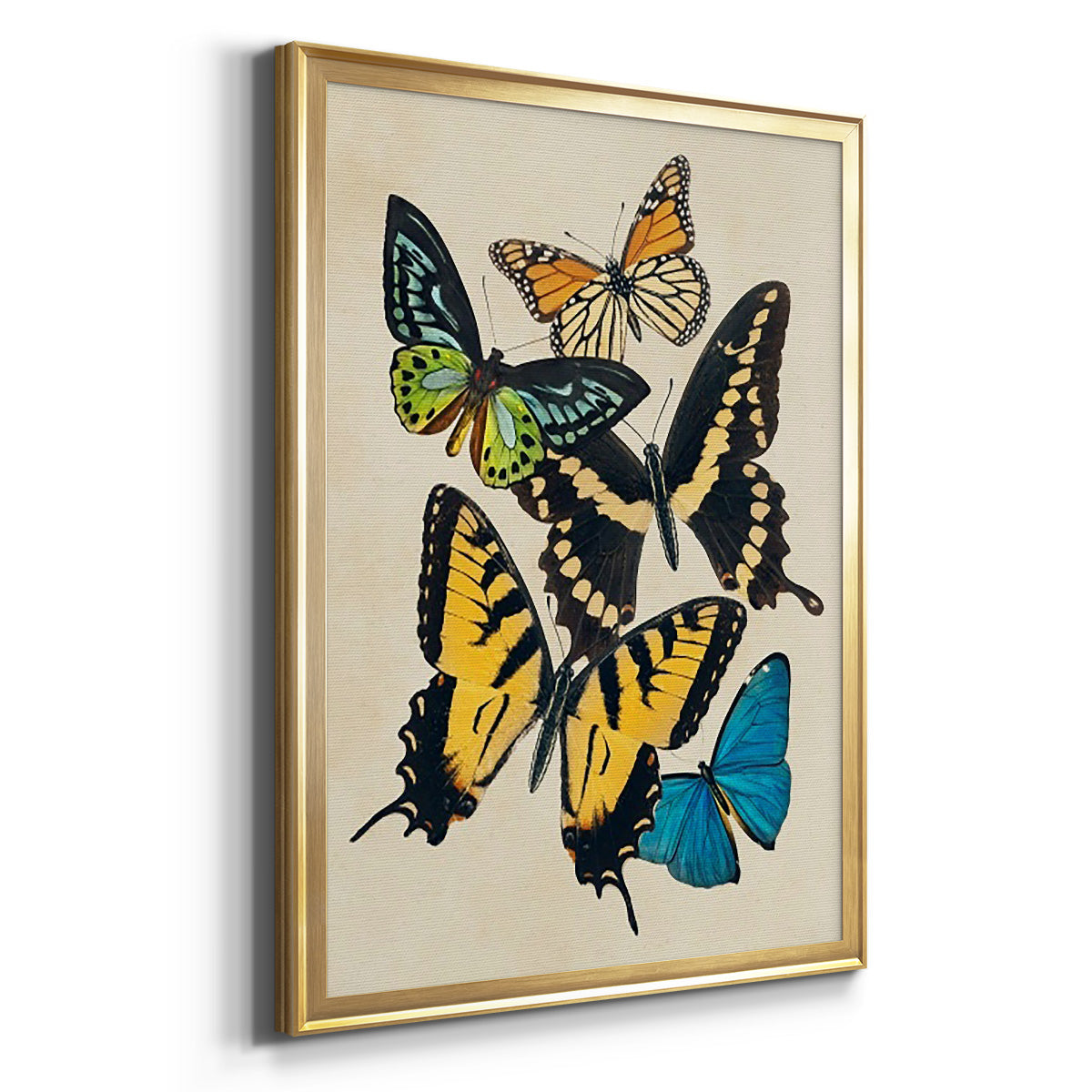 Collaged Butterflies II - Modern Framed Canvas Print