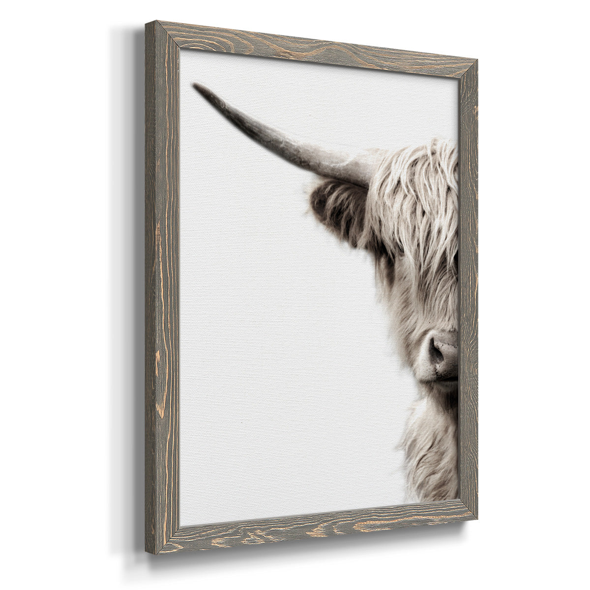 Highland Cattle - Premium Canvas Framed in Barnwood - Ready to Hang