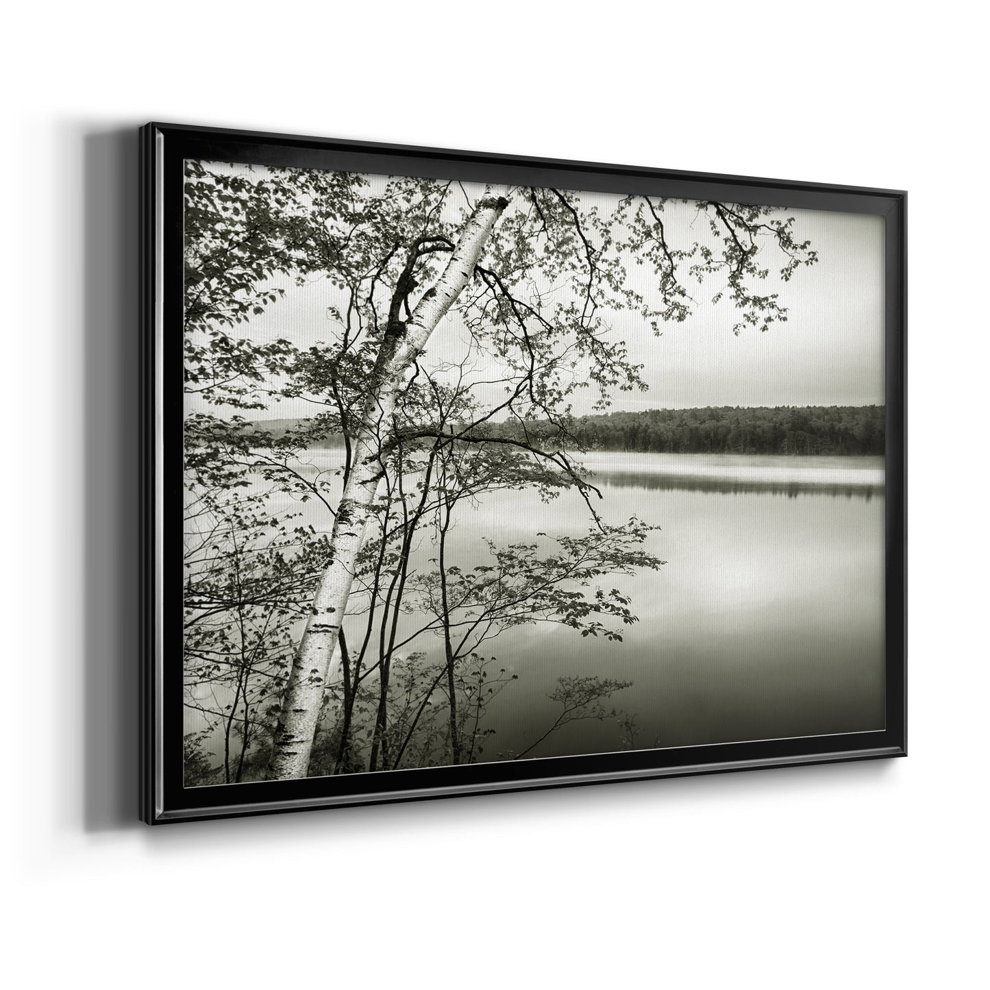 Adirondack Reflections - Modern Framed Canvas Print