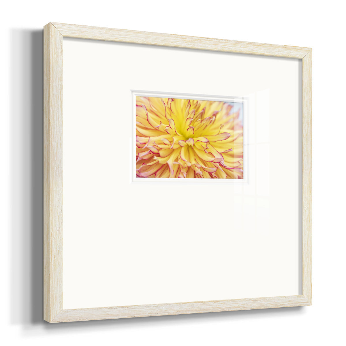 Blooms III- Premium Framed Print Double Matboard