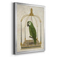 Green Parrot on Swing - Modern Framed Canvas Print