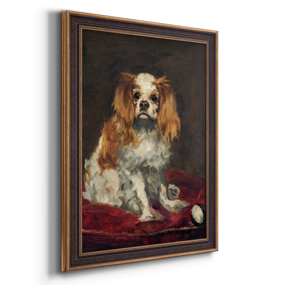 A King Charles Spaniel - Ornate Framed Canvas Print