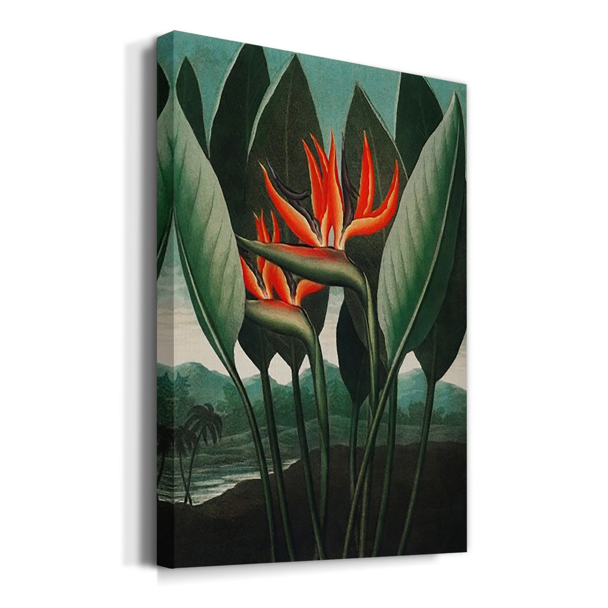 Temple of Flora IV - Canvas Art Print