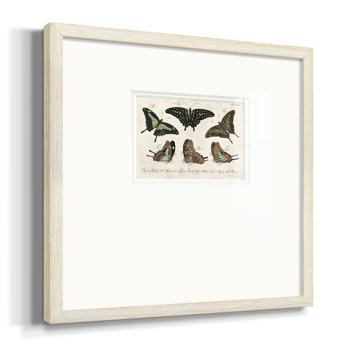 Crackled Butterflies II Premium Framed Print Double Matboard