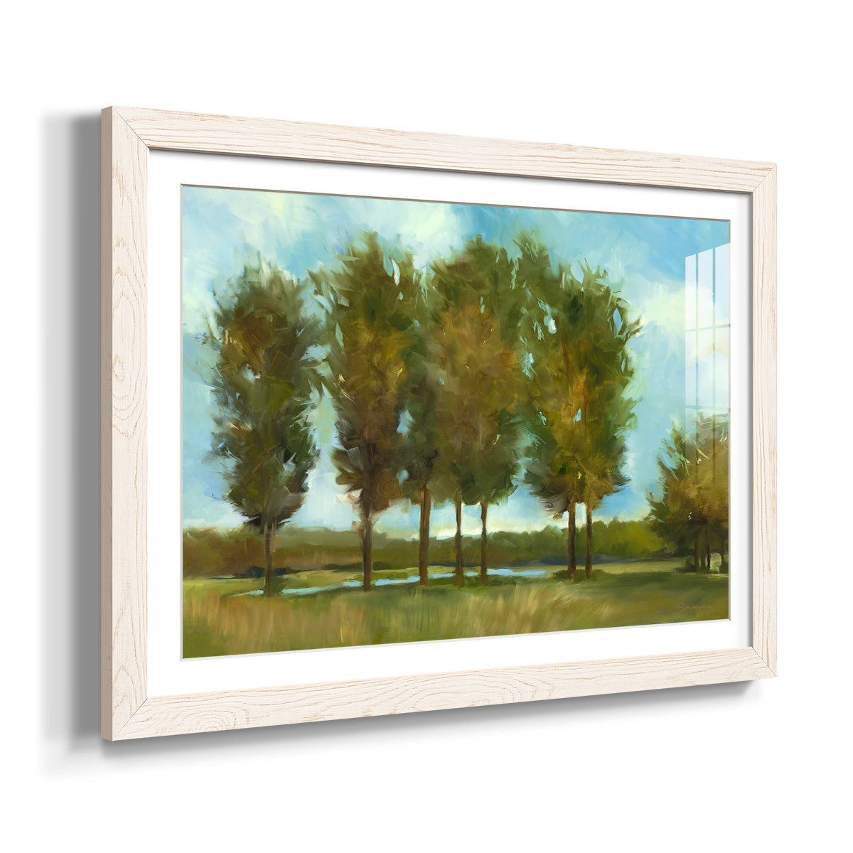 Tall Trees - Barnwood Framed Art Print