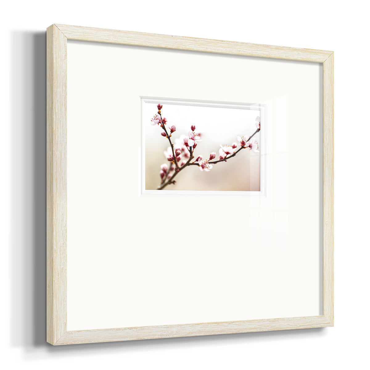 Cherry Blossom Study I - Double Matboard Framed Print