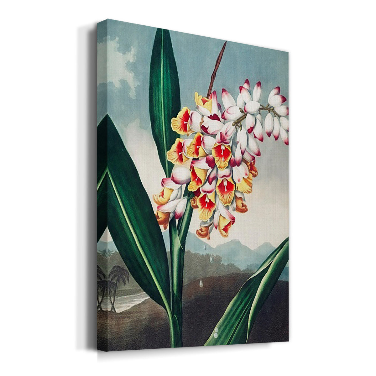 Temple of Flora VII - Canvas Art Print