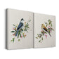 Spring Song Gray Jay Premium Gallery Wrapped Canvas - Ready to Hang - Set of 2 - 8 x 12 Each