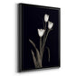 Tulip Pose I - Modern Framed Canvas Print