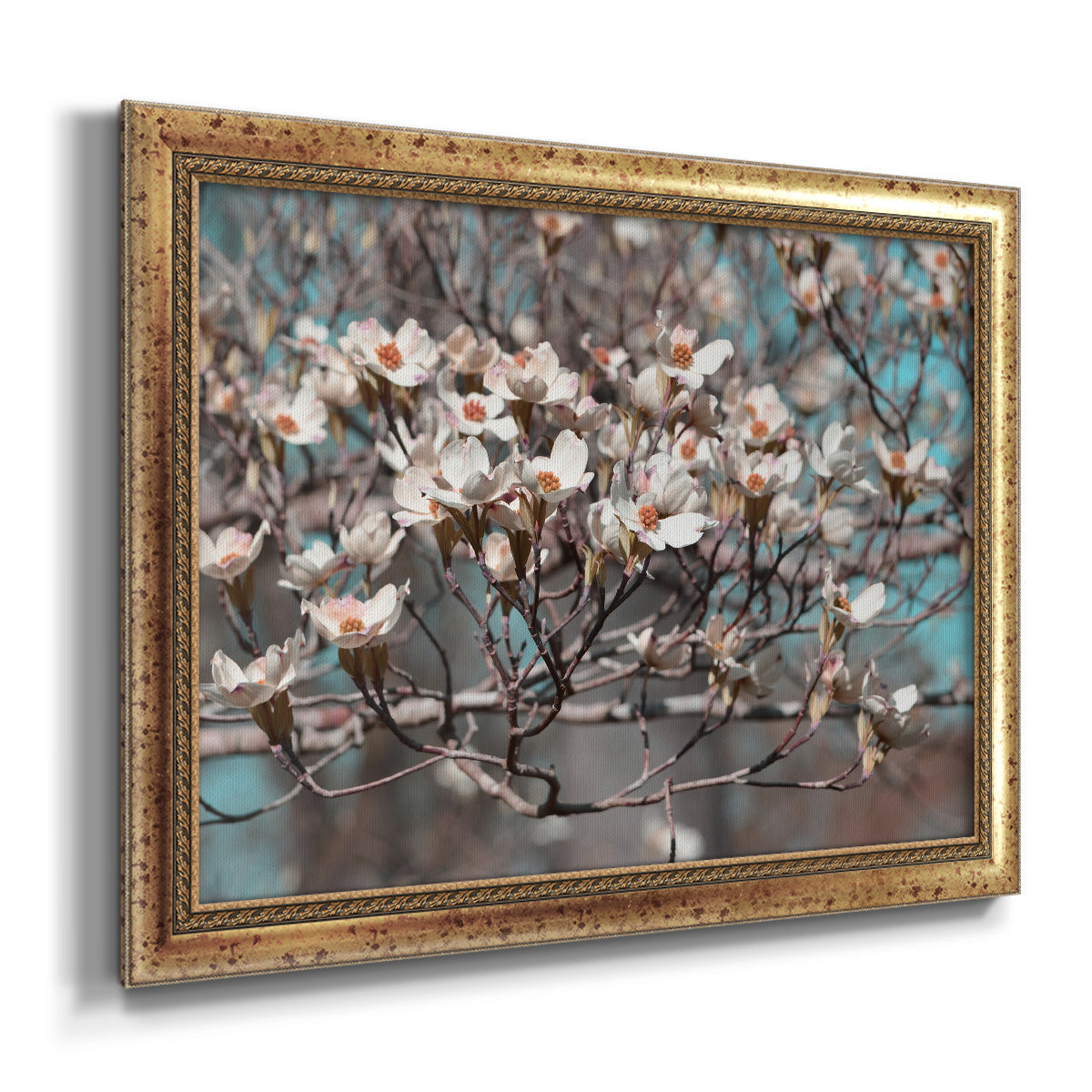 Dogwood Spring II Premium Framed Canvas- Ready to Hang