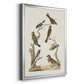 Antique Birds in Nature II - Modern Framed Canvas Print