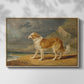 Rough-Coated Collie, 1809 - Floater Framed Canvas Print