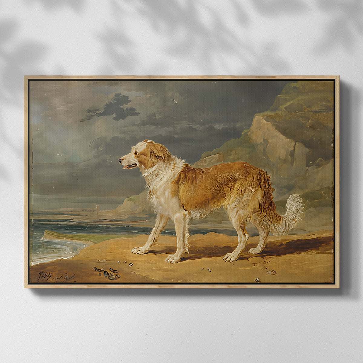 Rough-Coated Collie, 1809 - Floater Framed Canvas Print