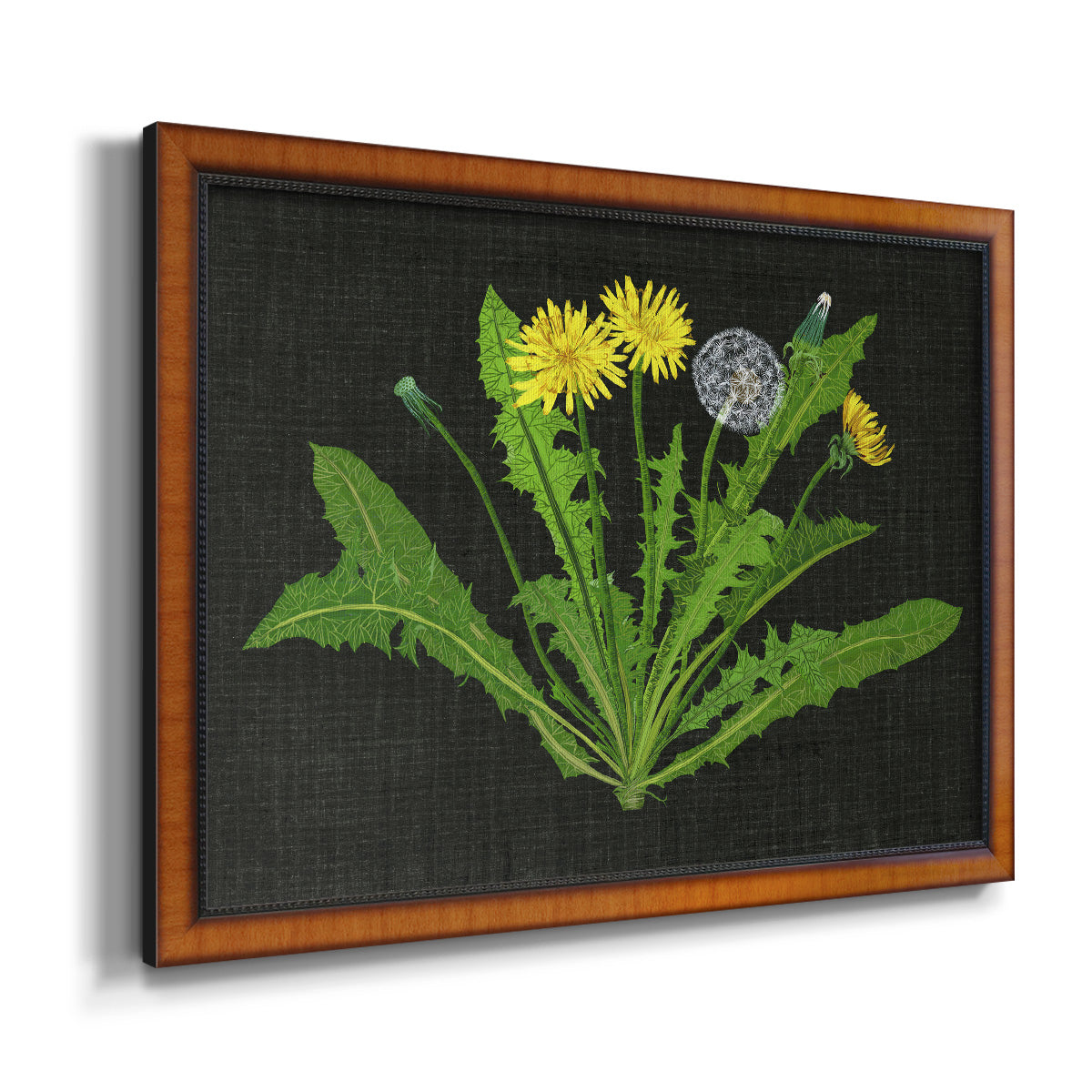 Wild Dandelion II Premium Framed Canvas- Ready to Hang