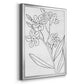 Botanical Sketch II - Modern Framed Canvas Print