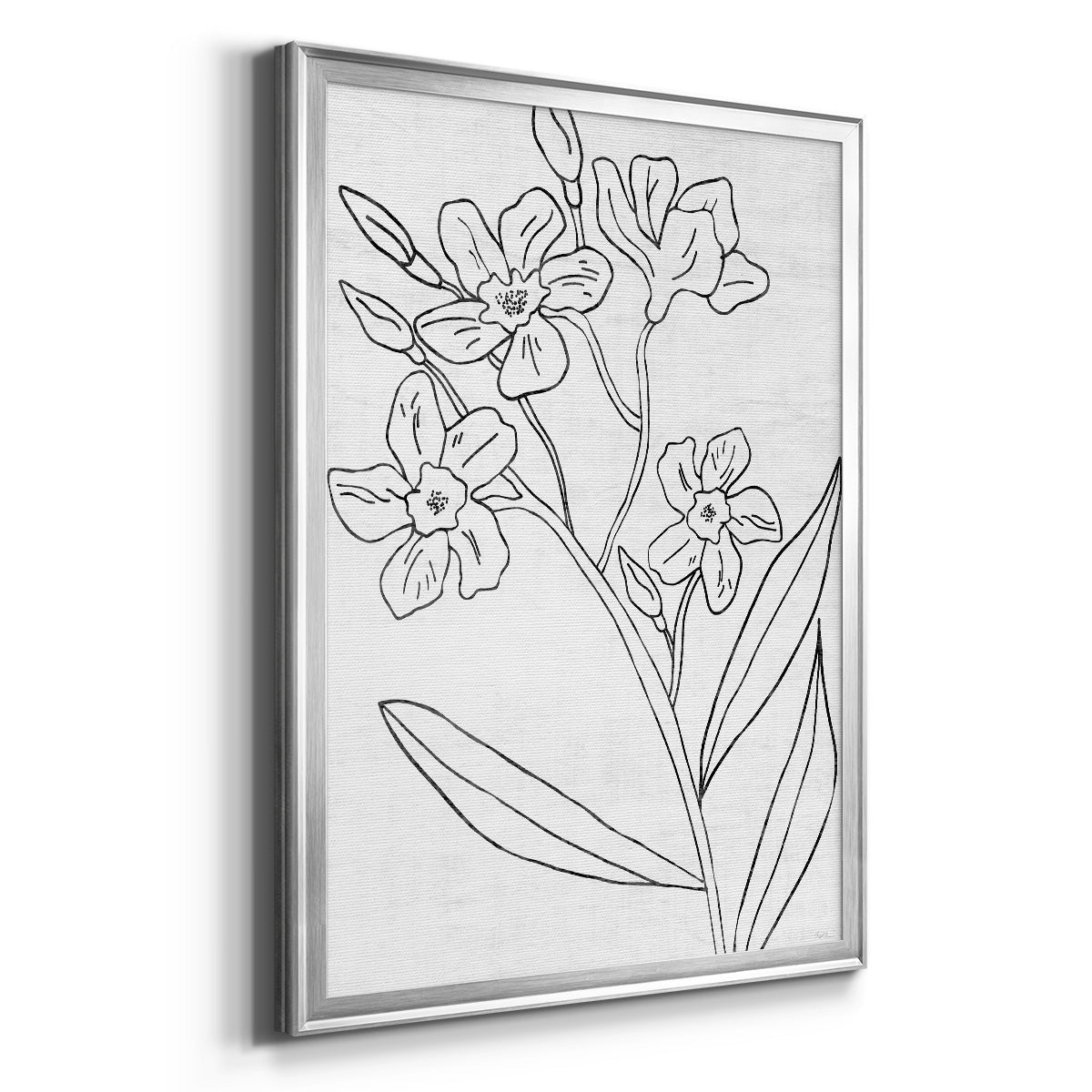 Botanical Sketch II - Modern Framed Canvas Print