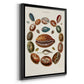 Spiral Shell Formation II - Modern Framed Canvas Print