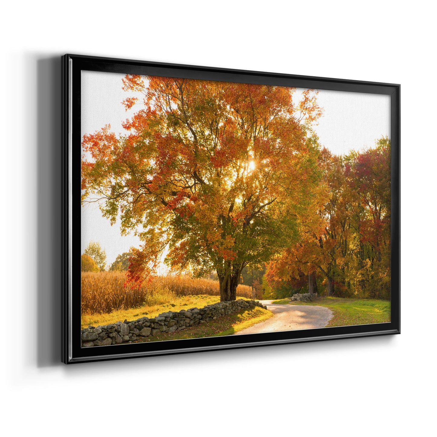 Maple Tree Drive Premium Classic Framed Canvas - Ready to Hang