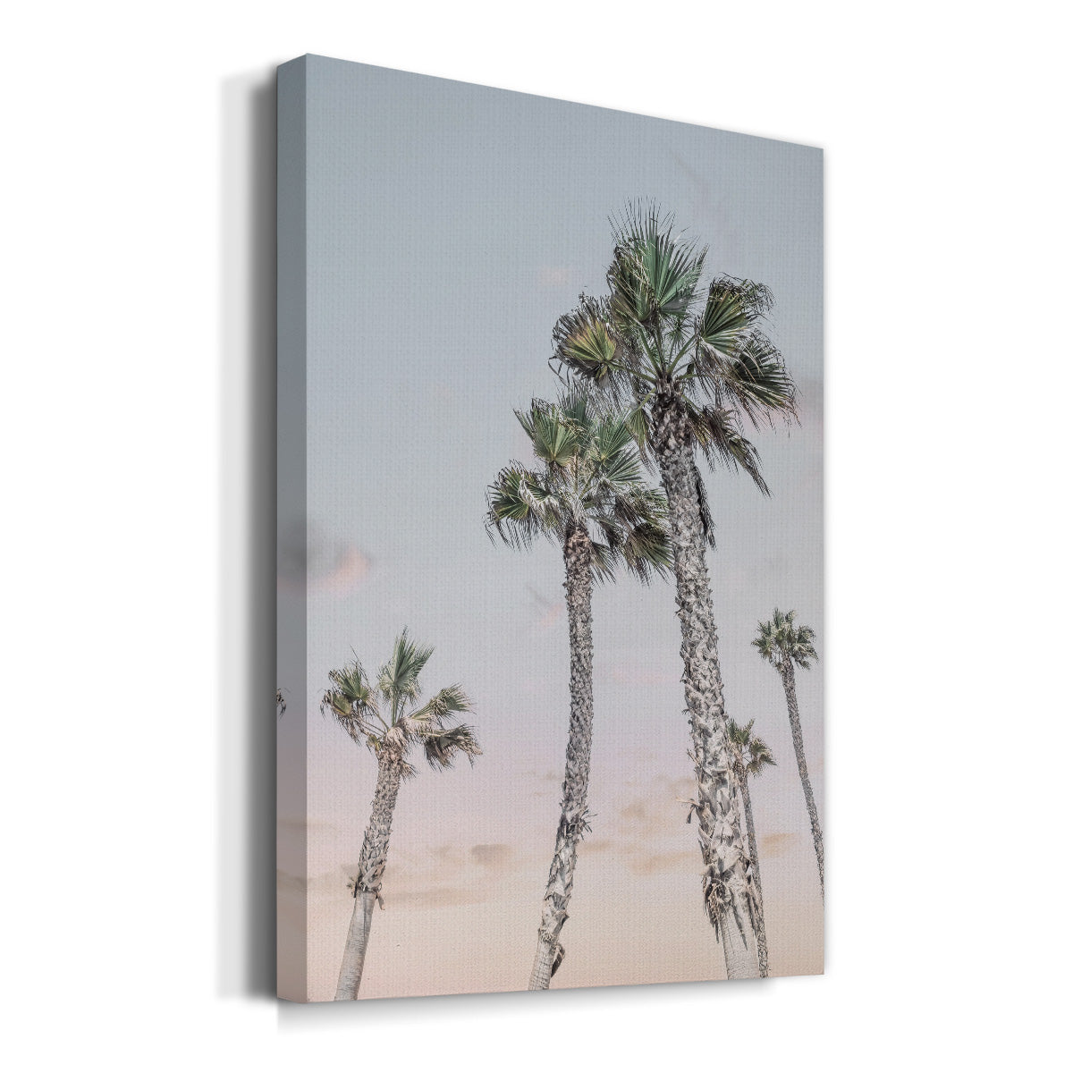 Palms Up - Canvas Art Print