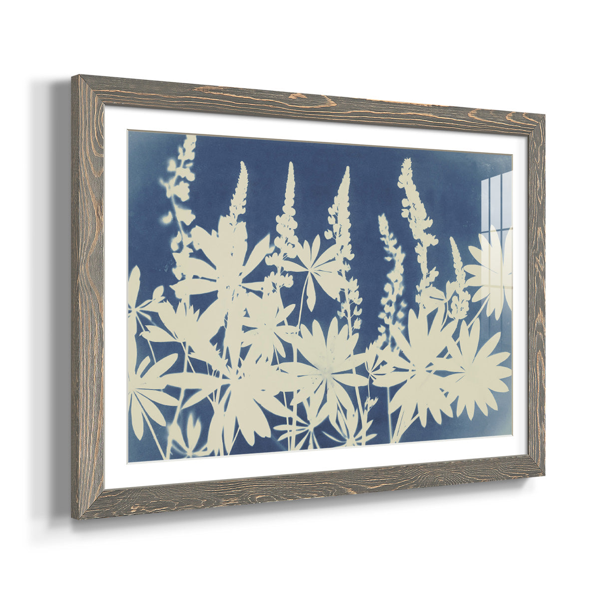 Lovely Lupine - Barnwood Framed Art Print