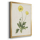 Flowers of the Seasons XII - Modern Framed Canvas Print
