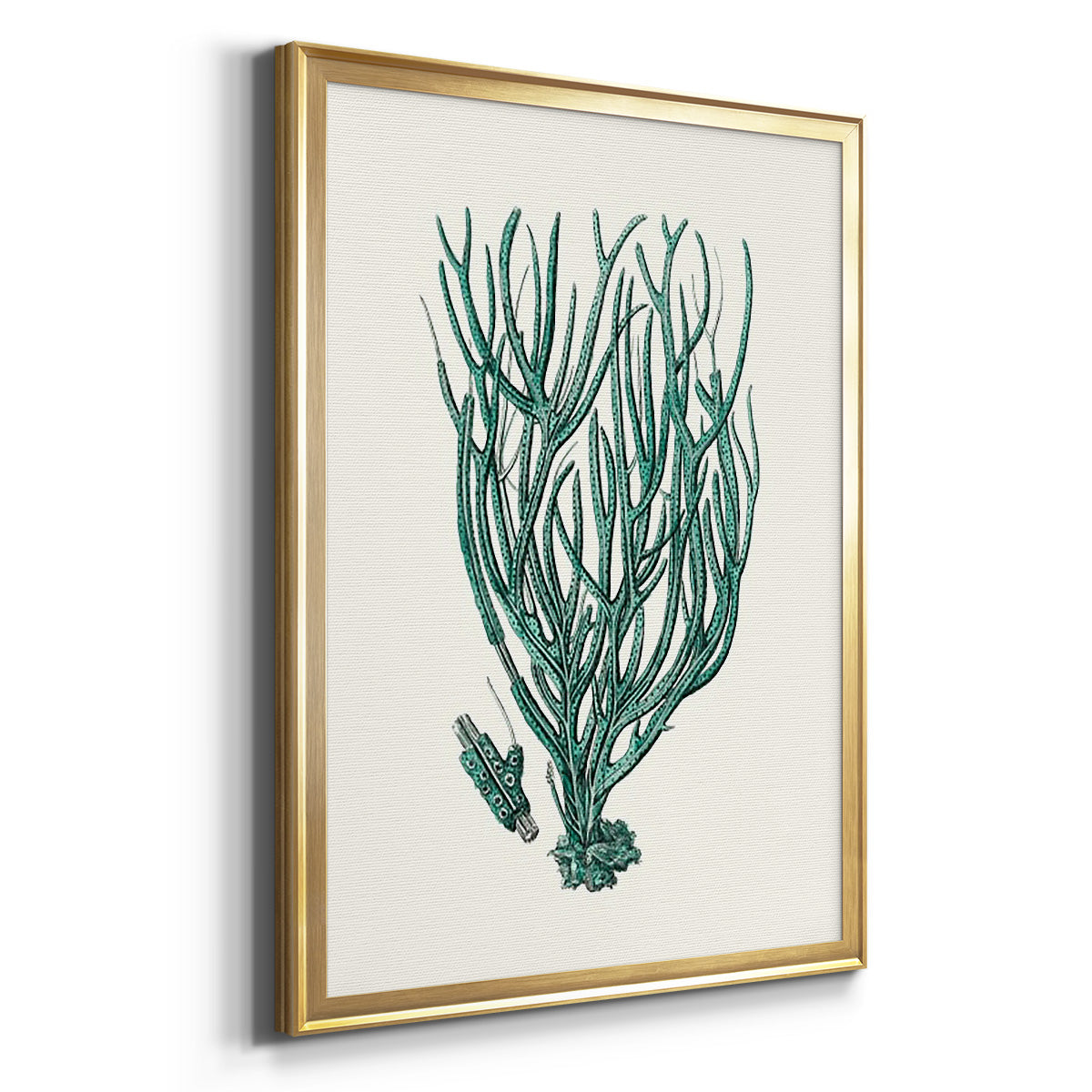 Antique Coastal Coral VIII - Modern Framed Canvas Print