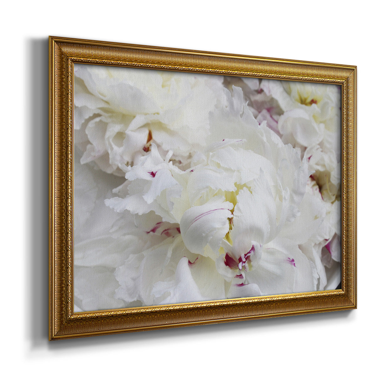 Breathless VI - Ornate Framed Canvas Print