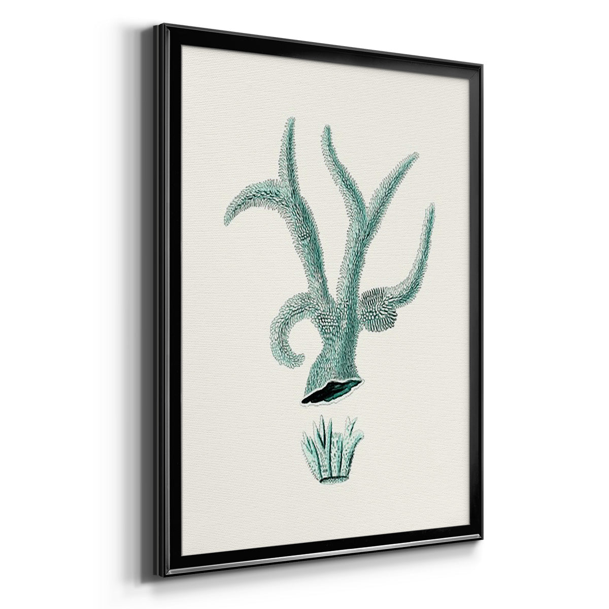 Antique Coastal Coral XII - Modern Framed Canvas Print