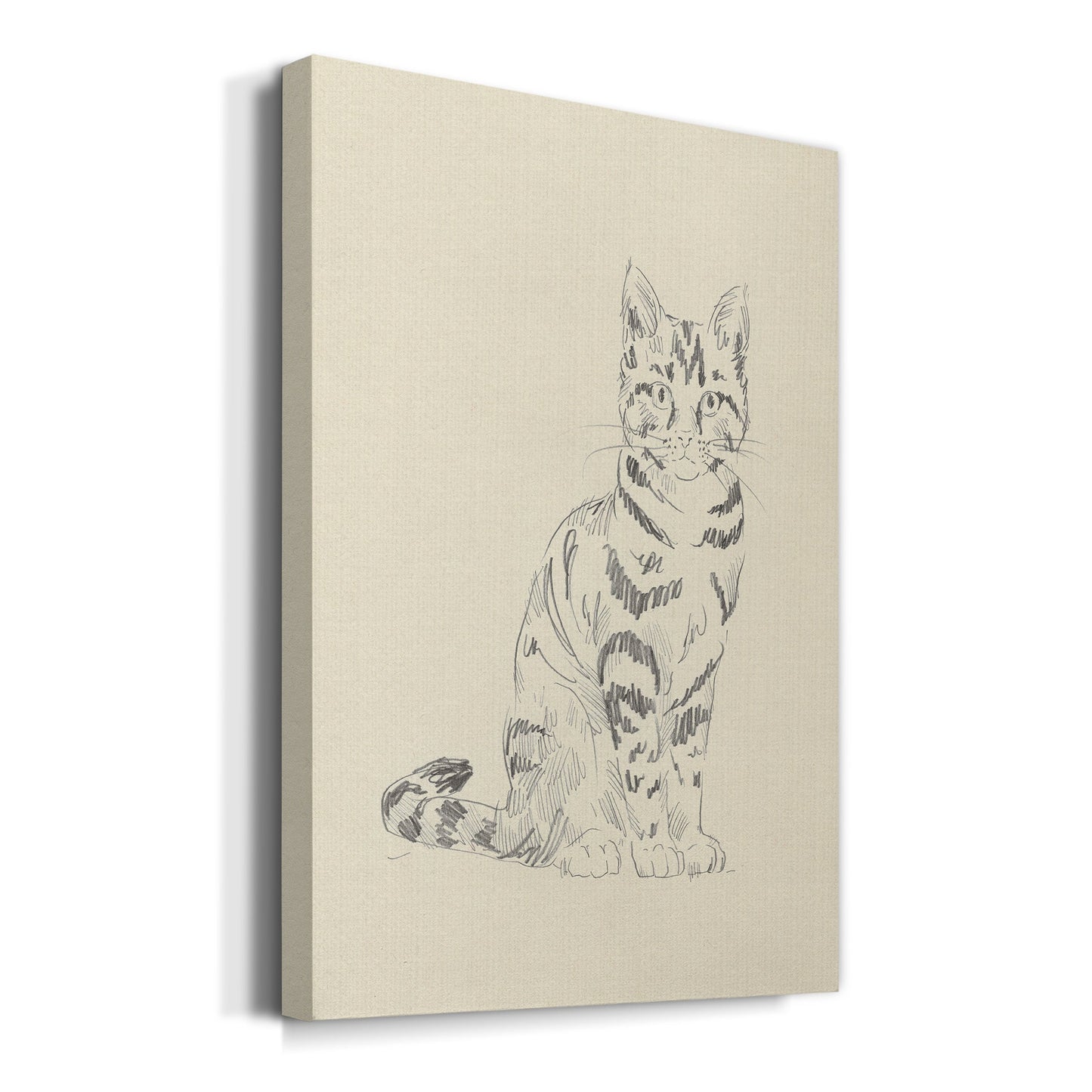 House Cat IV Premium Gallery Wrapped Canvas - Ready to Hang