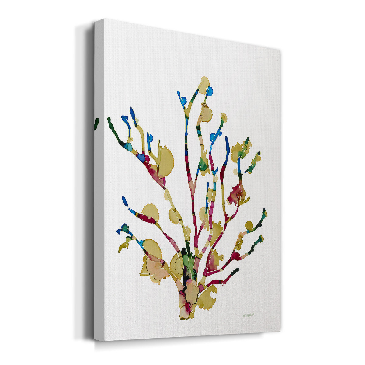 Sea Coral III - Canvas Art Print