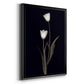 Tulip Pose II - Modern Framed Canvas Print