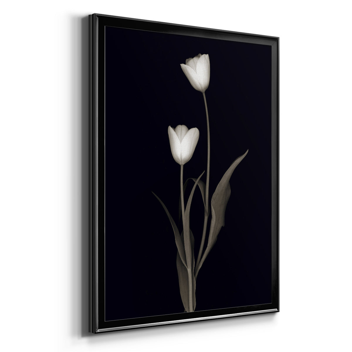 Tulip Pose II - Modern Framed Canvas Print