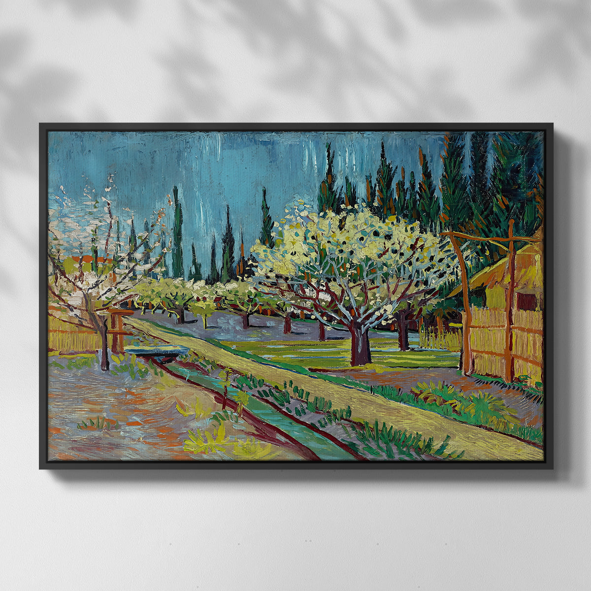Orchard in Blossom, Bordered by Cypresses, 1888 - Floater Framed Canvas Print