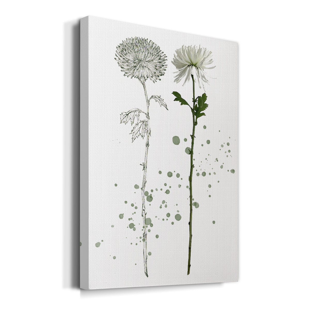 Botany Flower IV Premium Gallery Wrapped Canvas - Ready to Hang