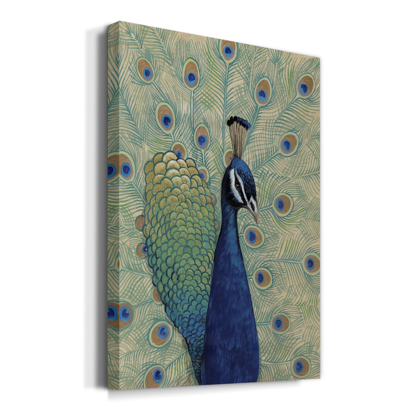 Blue Peacock I Premium Gallery Wrapped Canvas - Ready to Hang