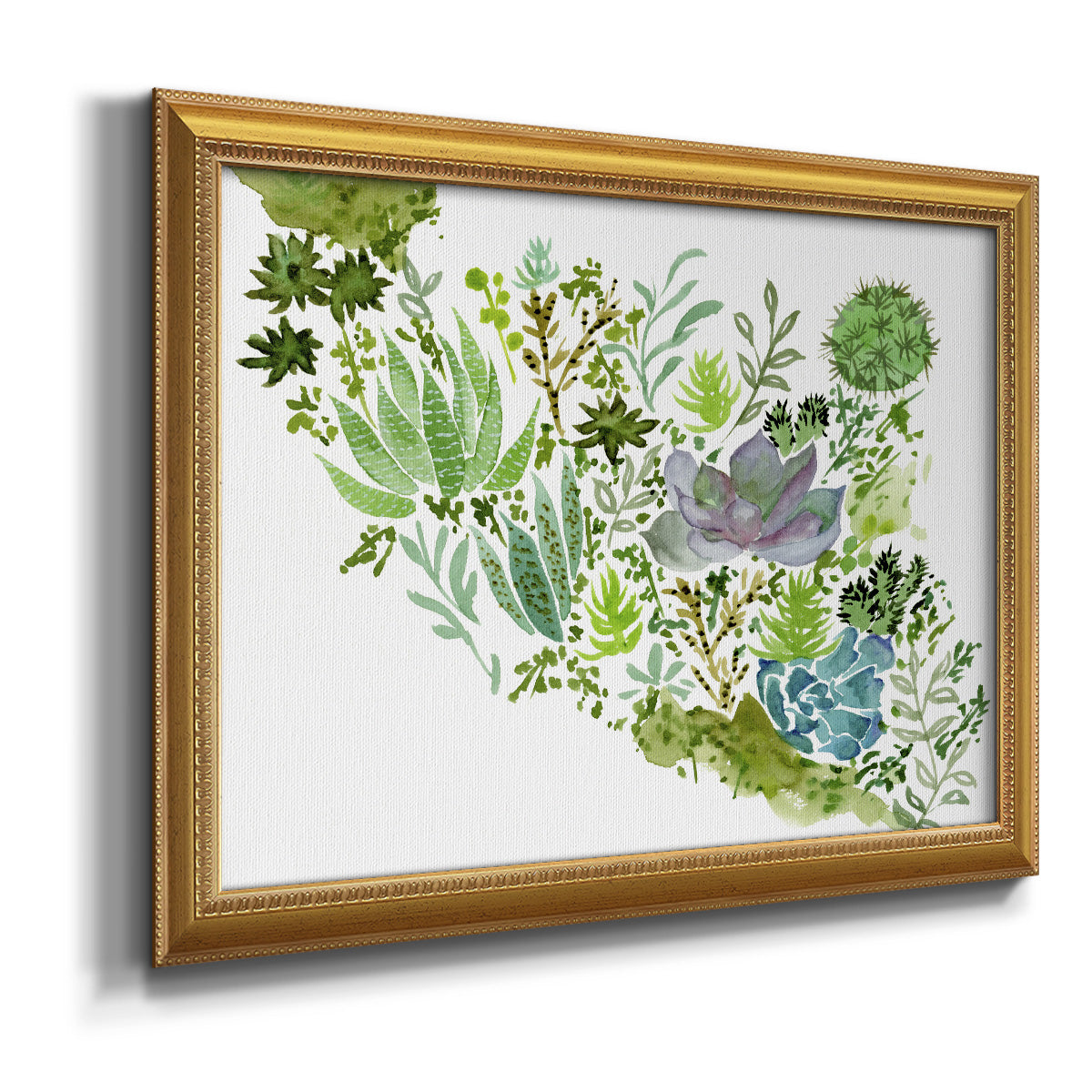 Succulent Field II - Ornate Framed Canvas Print