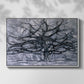 The Gray Tree, 1911 - Floater Framed Canvas Print