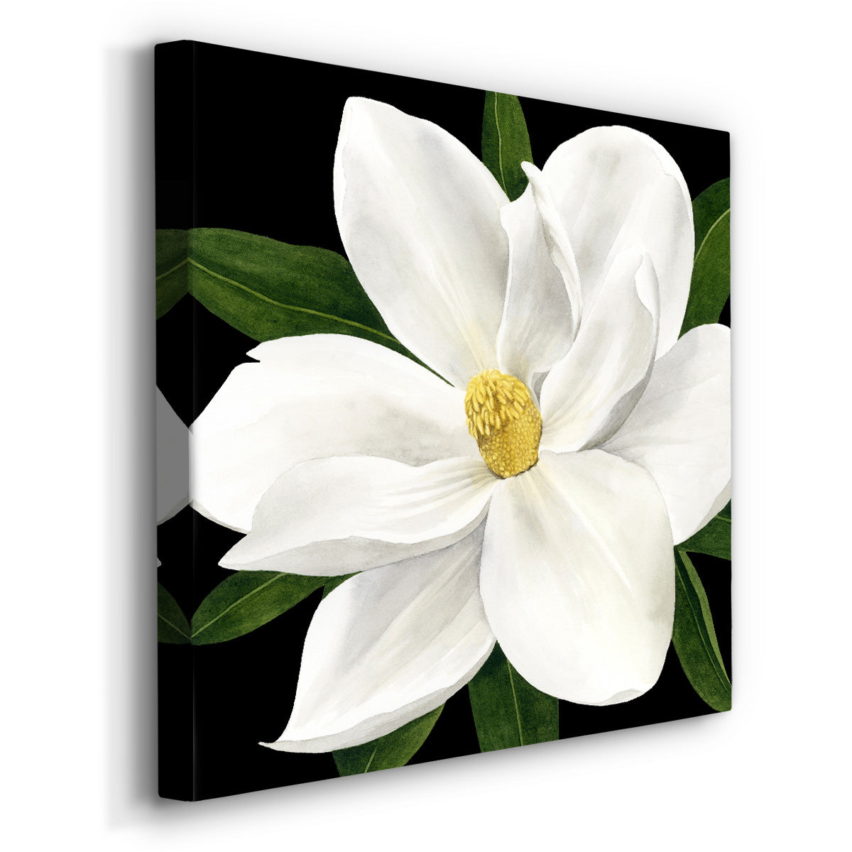 Midnight Magnolia II - Canvas Art Print