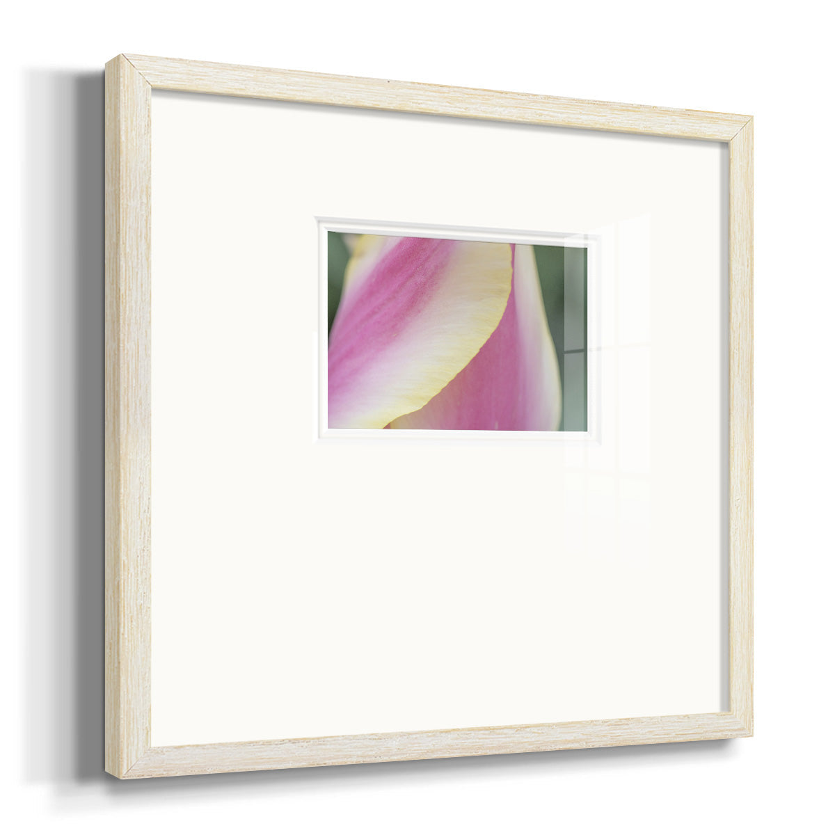 Delicate- Premium Framed Print Double Matboard