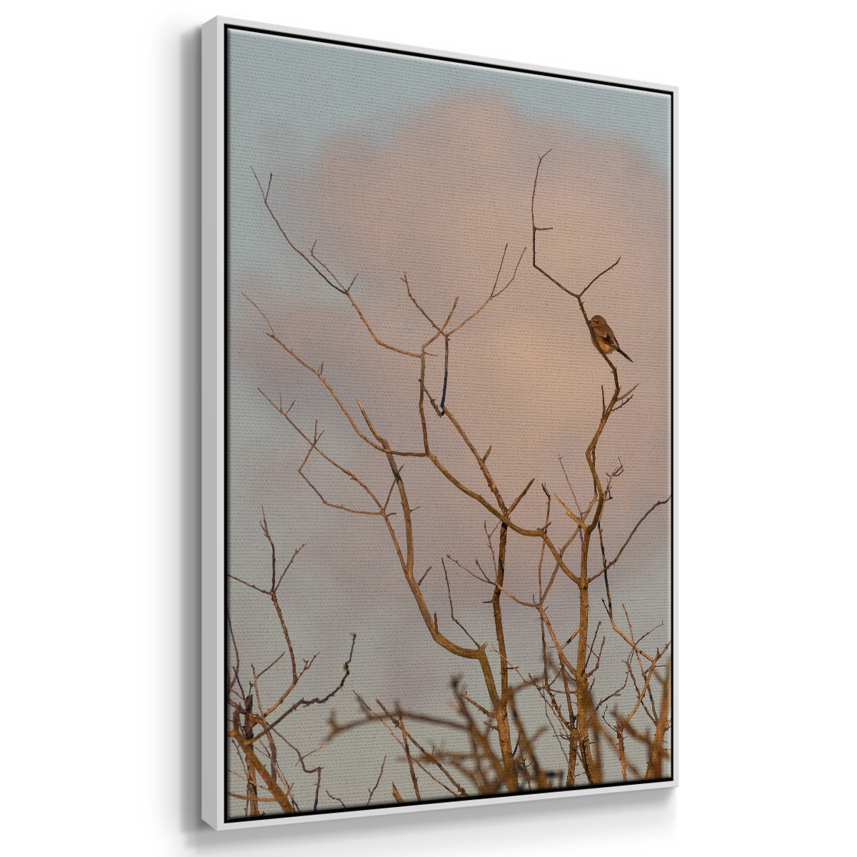 At Dawn - Floater Framed Canvas Print