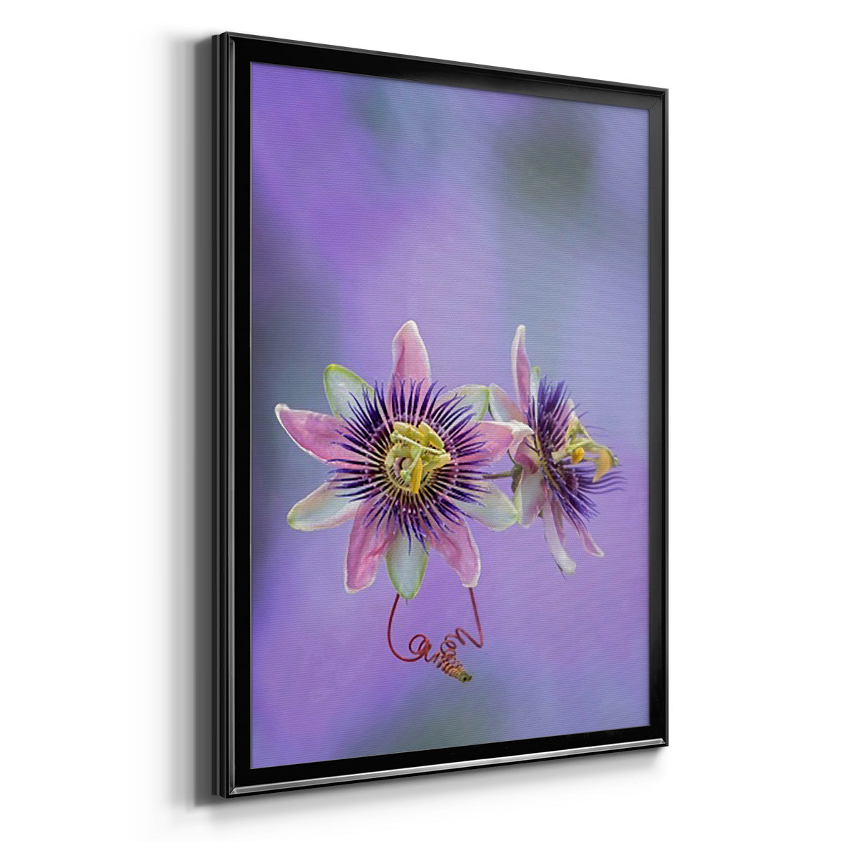 Exotic Flower Burst II - Modern Framed Canvas Print