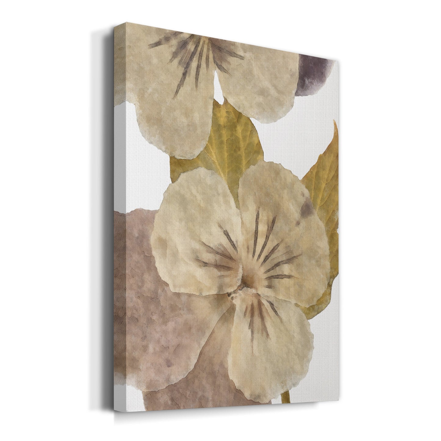 Neutral Pansy II Premium Gallery Wrapped Canvas - Ready to Hang