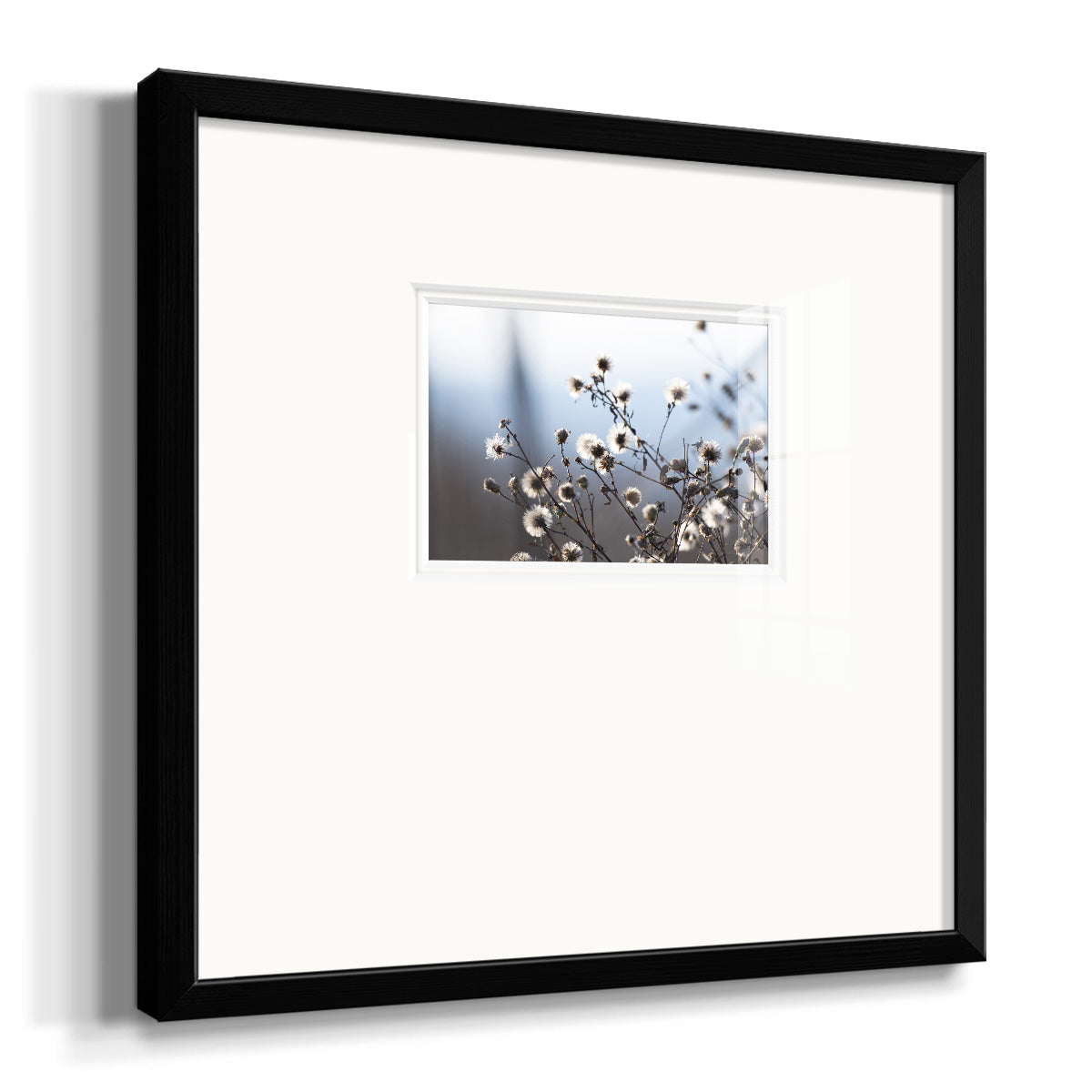 Spring Fluff- Premium Framed Print Double Matboard