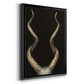 Spiral Antelope Horns -  Framed Canvas Print