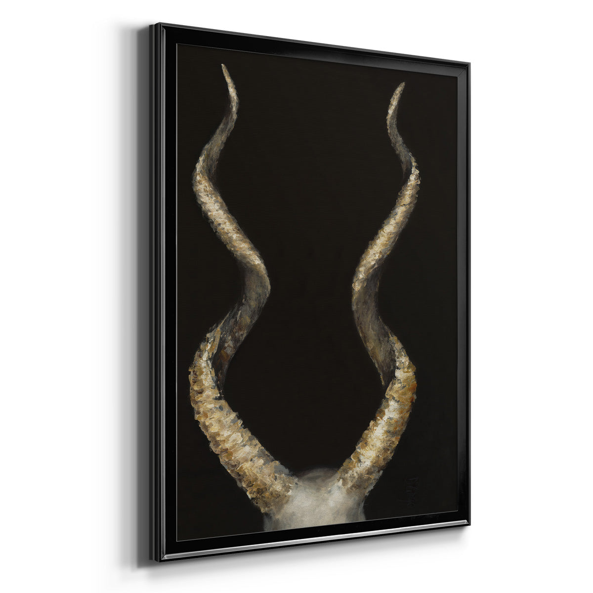 Spiral Antelope Horns -  Framed Canvas Print