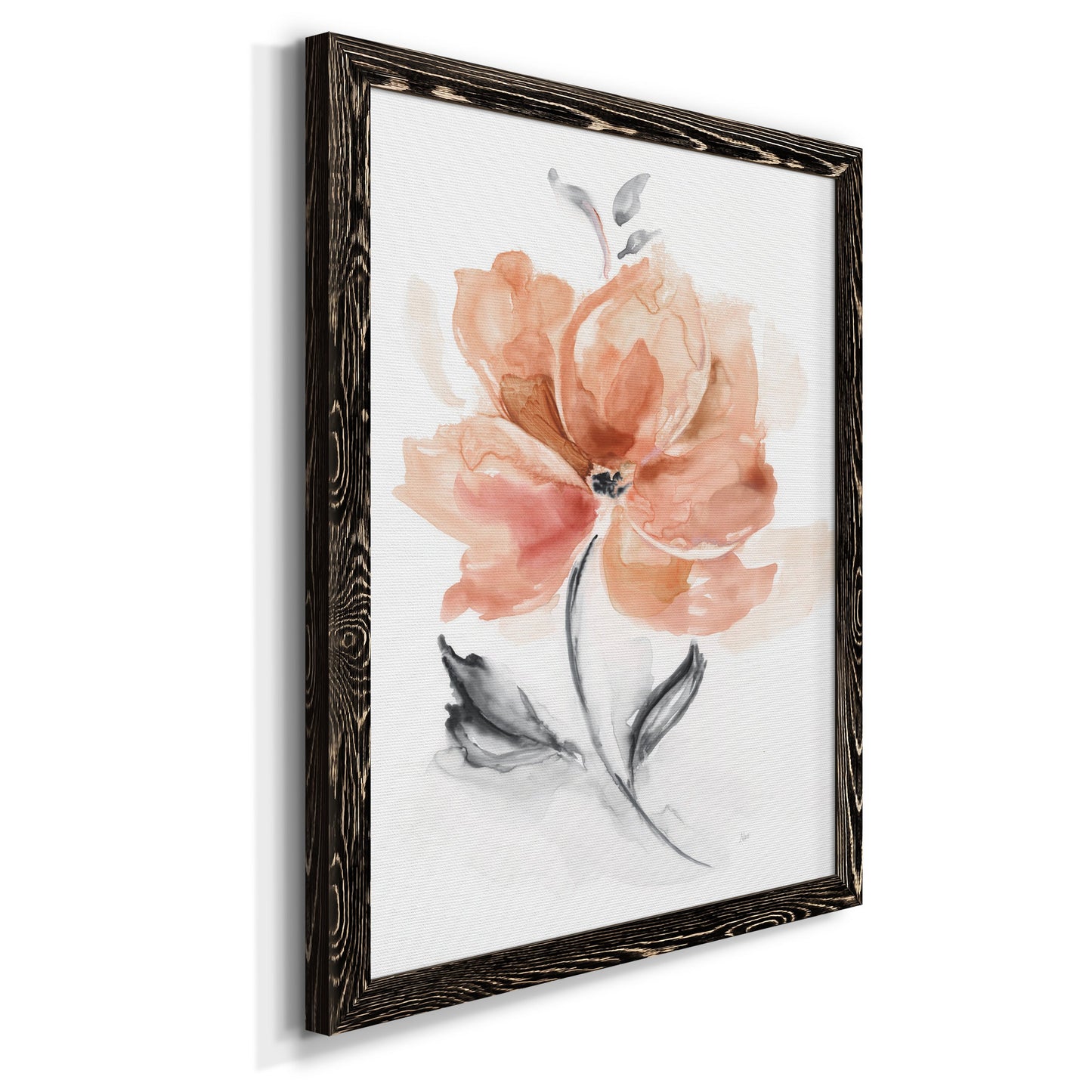 Soft Sensation I - Premium Canvas Framed in Barnwood - Ready to Hang