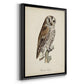 French Owls III - Modern Framed Canvas Print